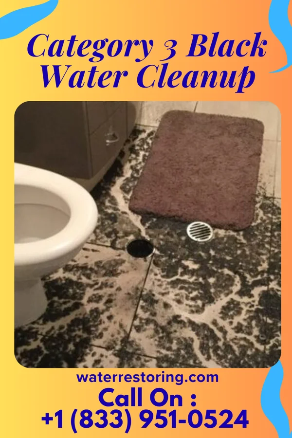 Category 3 Black Water Cleanup in Angostura, SD